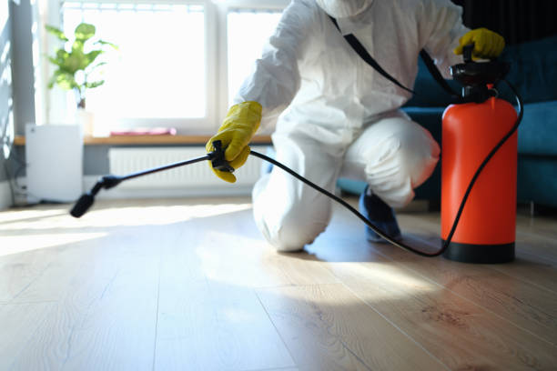 Best Pest Prevention Services  in Bald Kno, AR