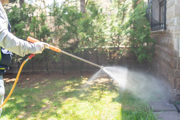 Professional Pest Control in Bald Kno, AR