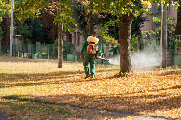Pest Control for Restaurants in Bald Kno, AR