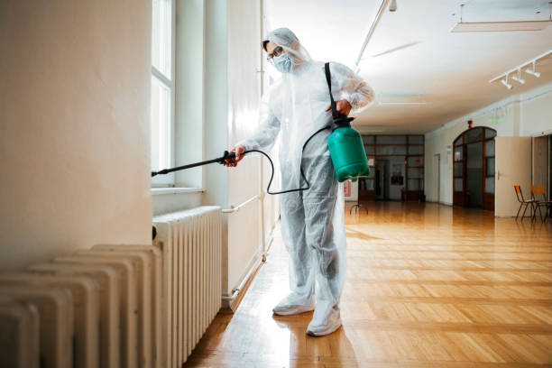 Flea Control Services in Bald Kno, AR